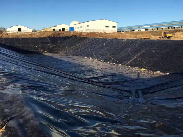 氧化塘化粪池铺设黑色防渗土工膜